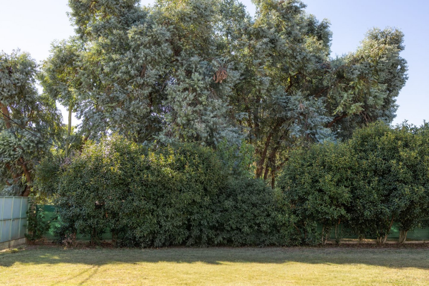 Hermosa casa en Las Sophoras y Albert Sabin